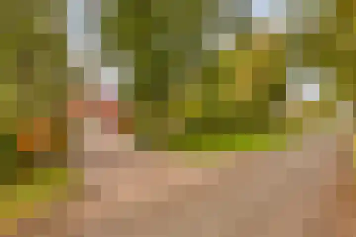 Elzen 4 Boekel thumbnail 76