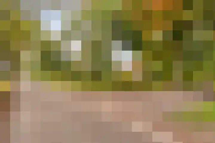 Elzen 4 Boekel thumbnail 78