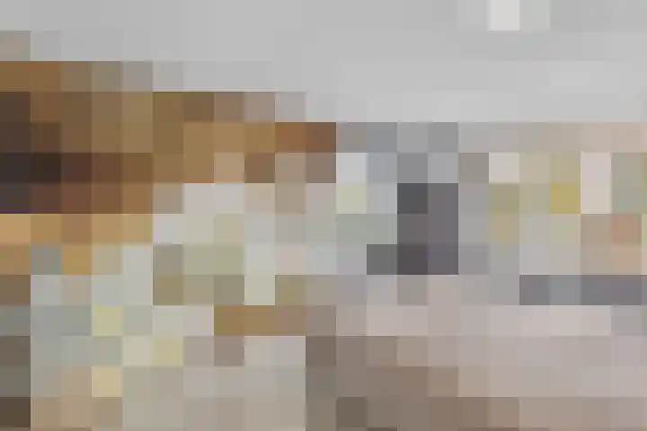 Elzenberg 23 Roosendaal thumbnail 22