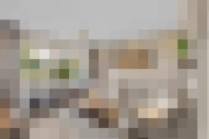 Elzenberg 23 Roosendaal thumbnail 7