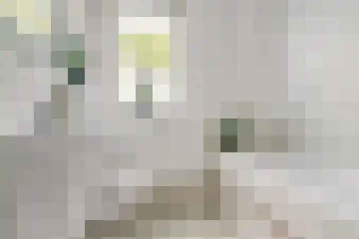 Elzenberg 42 Roosendaal thumbnail 4