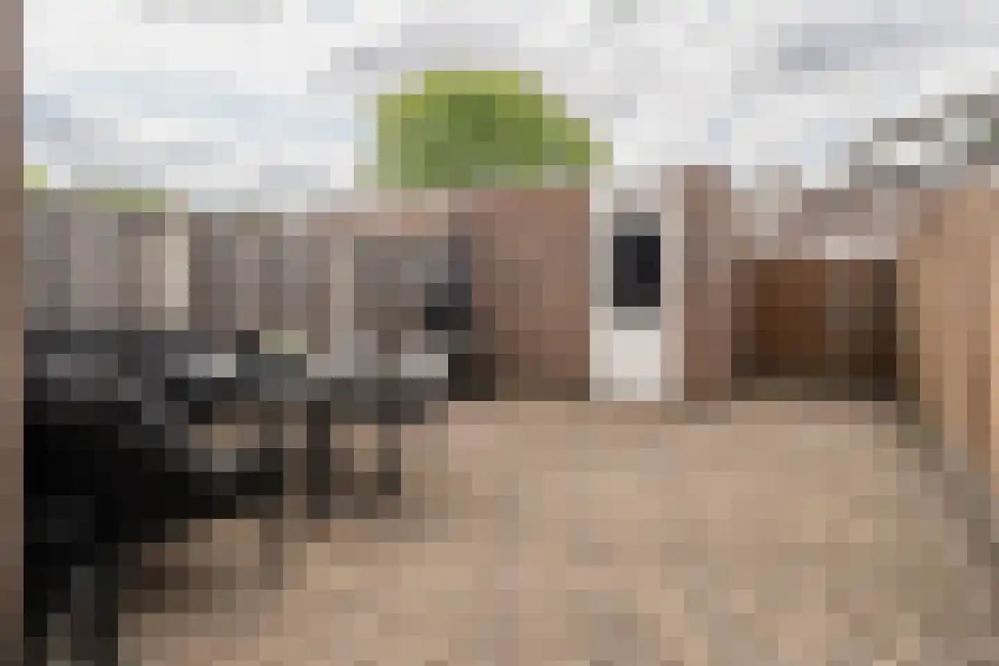 Elzenberg 59 Roosendaal thumbnail 36