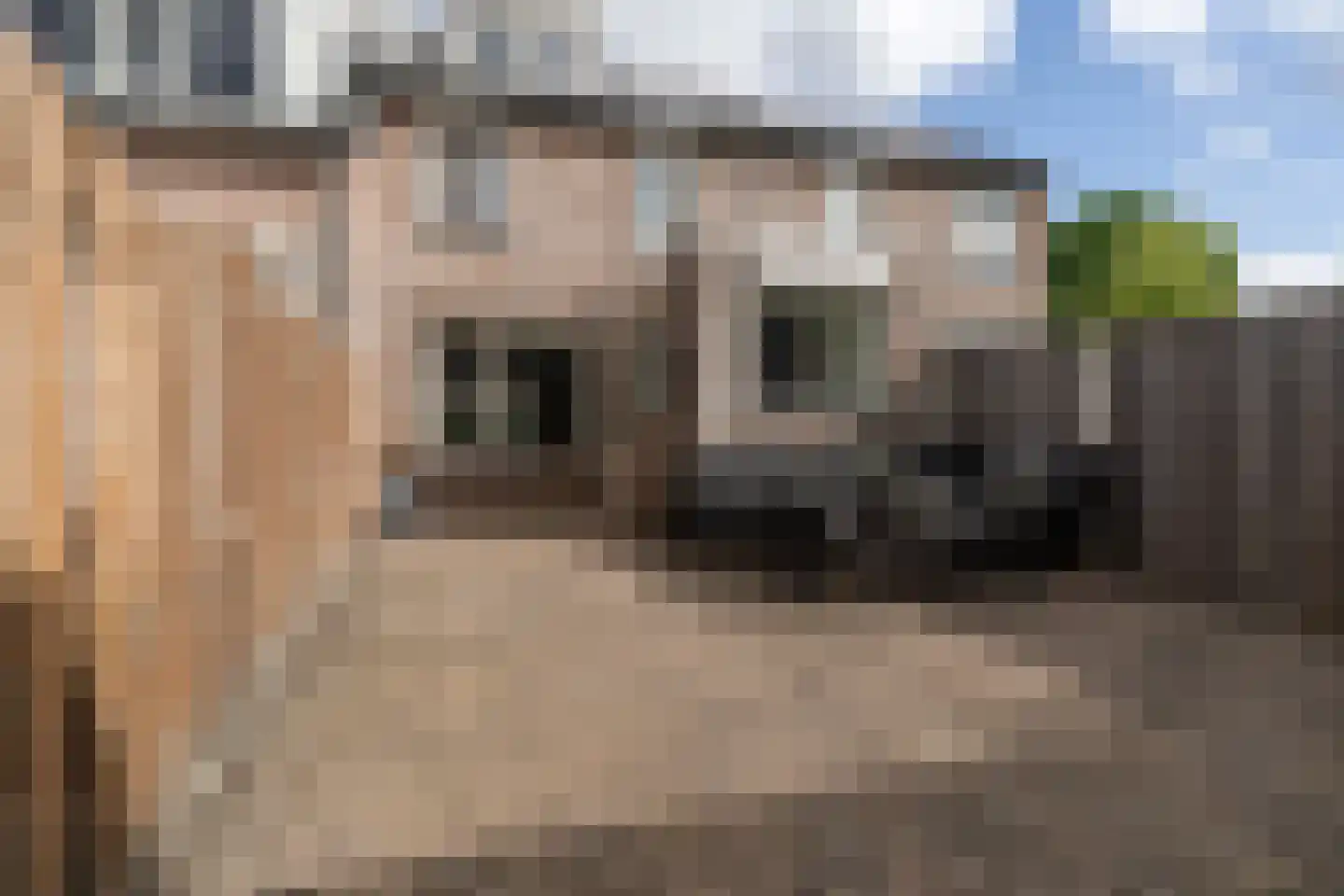 Elzenberg 59 Roosendaal thumbnail 38