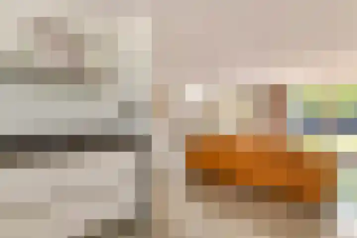 Elzenbos 23 Geldermalsen thumbnail 12