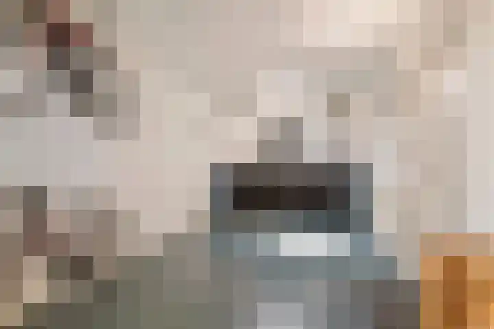 Elzenbos 23 Geldermalsen thumbnail 14
