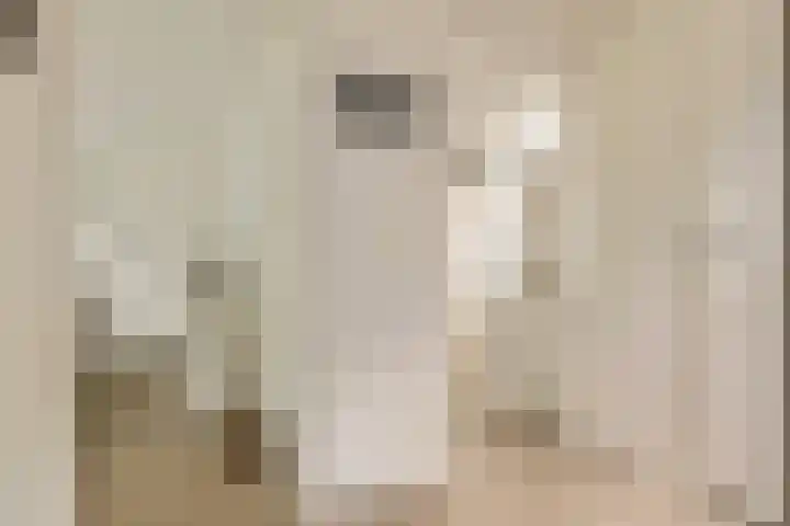 Elzenbos 23 Geldermalsen thumbnail 19