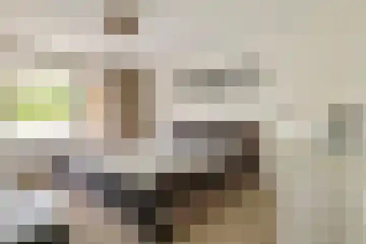 Elzenbos 23 Geldermalsen thumbnail 20