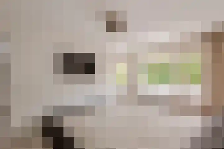 Elzenbos 23 Geldermalsen thumbnail 21