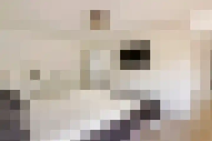 Elzenbos 23 Geldermalsen thumbnail 22