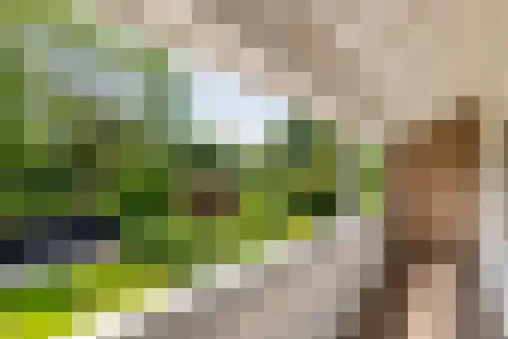 Elzenbos 23 Geldermalsen thumbnail 28