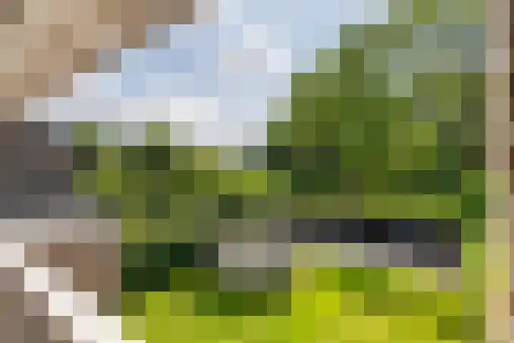 Elzenbos 23 Geldermalsen thumbnail 29