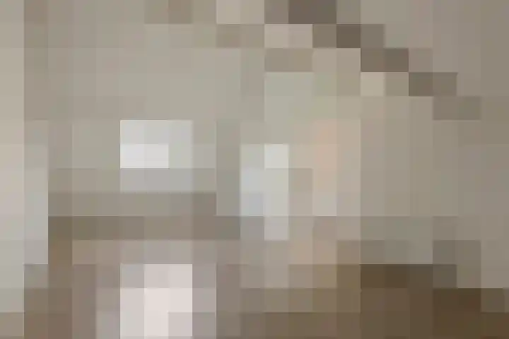 Elzenbos 23 Geldermalsen thumbnail 33