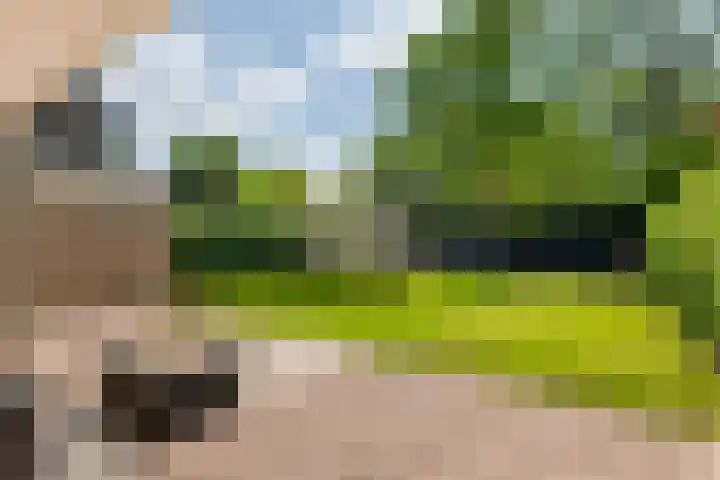 Elzenbos 23 Geldermalsen thumbnail 35