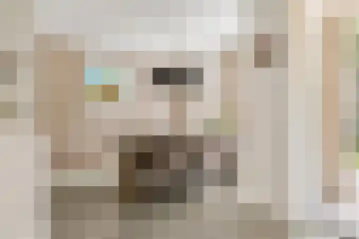 Elzenbos 23 Geldermalsen thumbnail 4