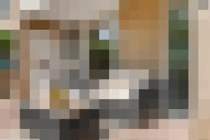 Elzenbos 23 Geldermalsen thumbnail 41