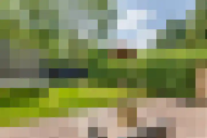 Elzenbos 23 Geldermalsen thumbnail 42