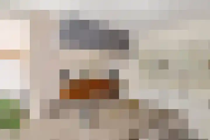 Elzenbos 23 Geldermalsen thumbnail 5