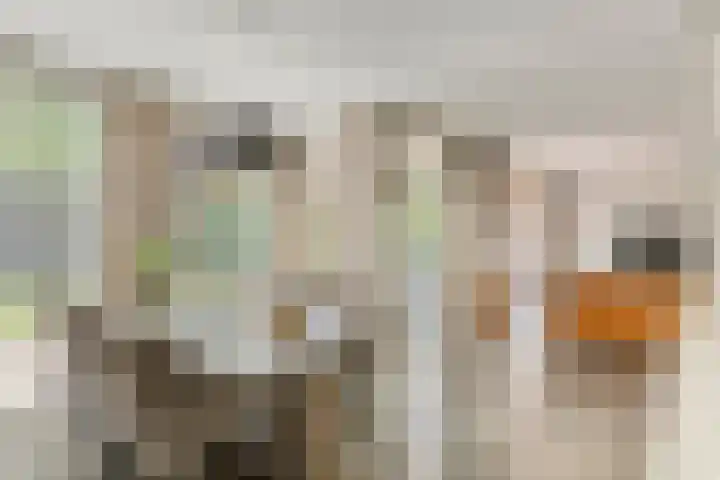 Elzenbos 23 Geldermalsen thumbnail 6