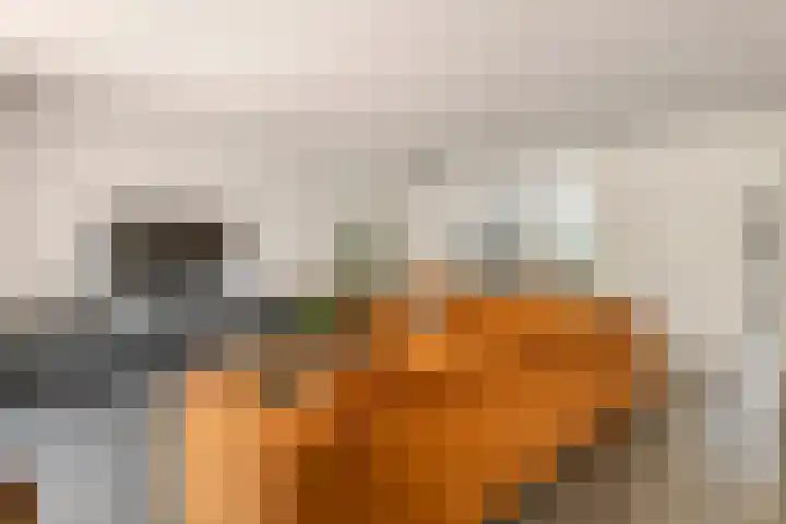 Elzenbos 23 Geldermalsen thumbnail 7