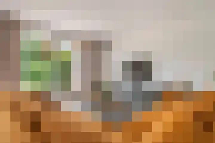 Elzenbos 23 Geldermalsen thumbnail 8