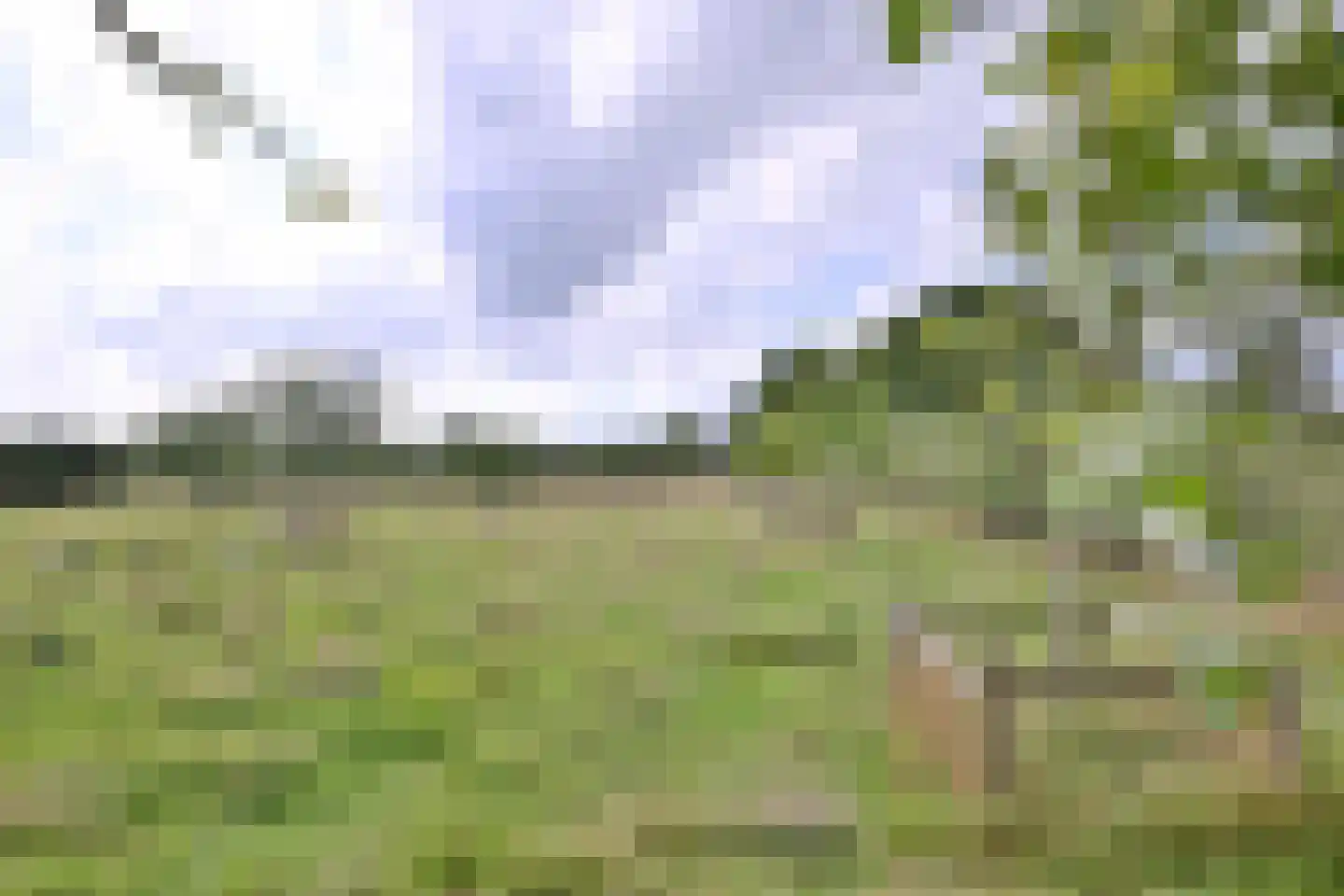 Elzenbosweg 19 Brummen thumbnail 10