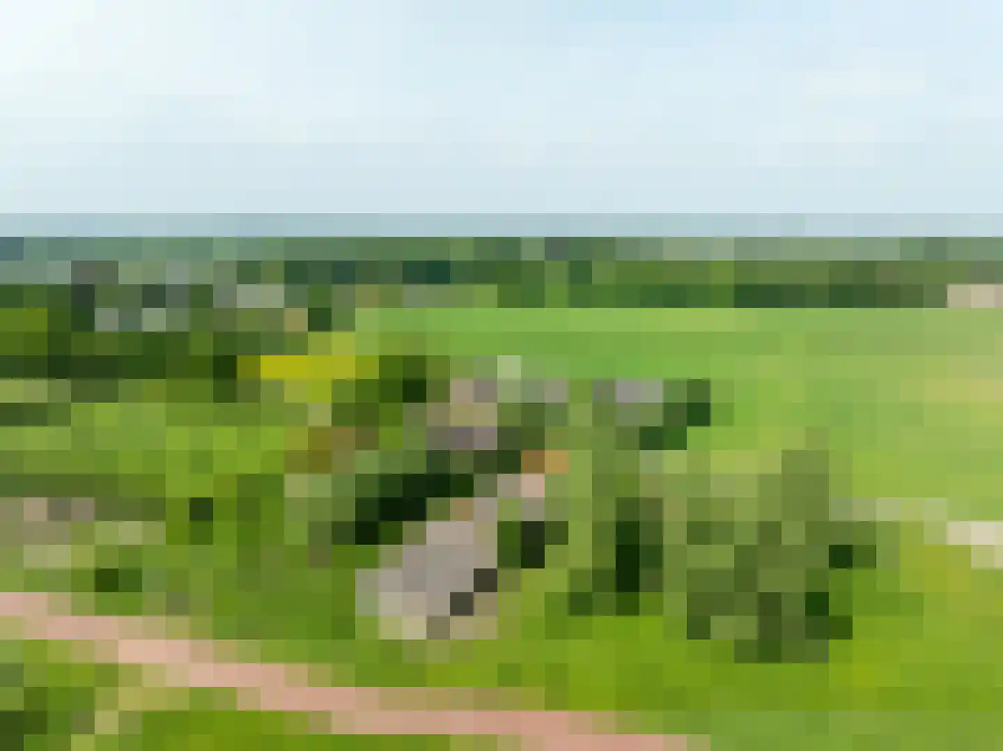 Elzenbosweg 19 Brummen thumbnail 12