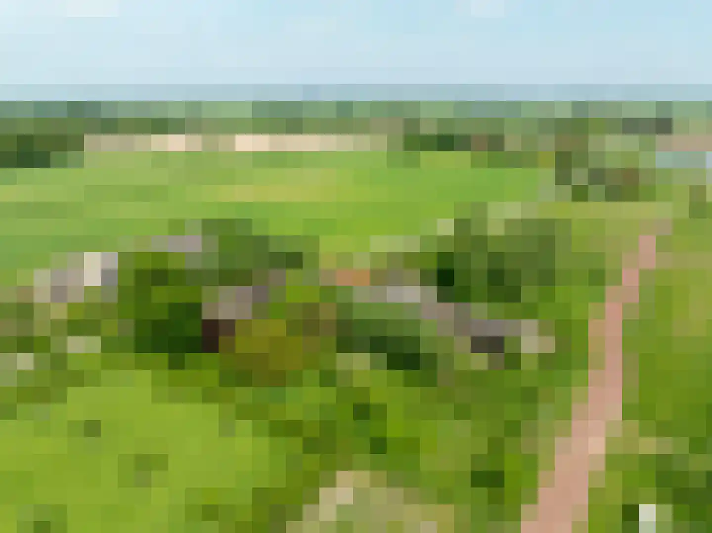 Elzenbosweg 19 Brummen thumbnail 13