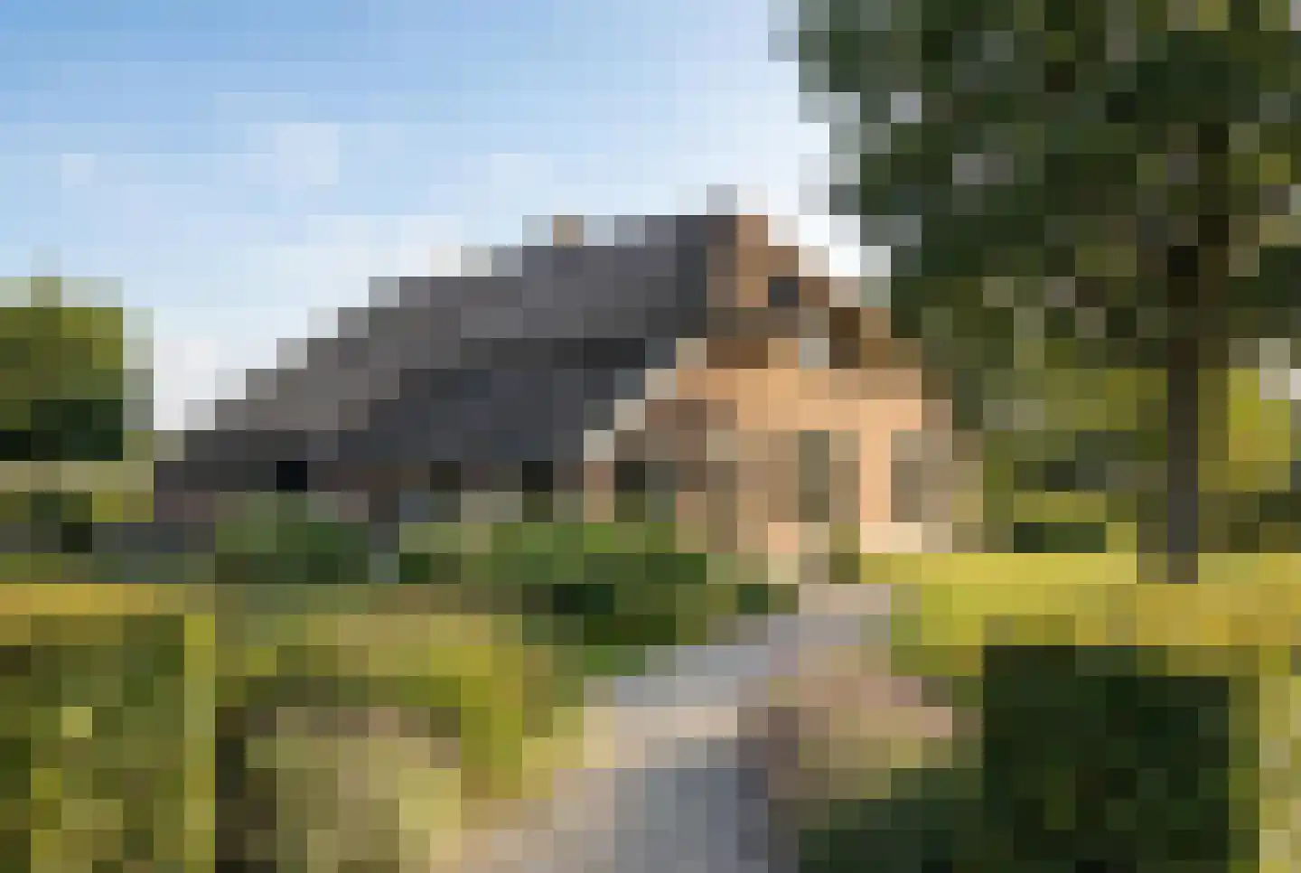 Elzenbosweg 19 Brummen foto 3