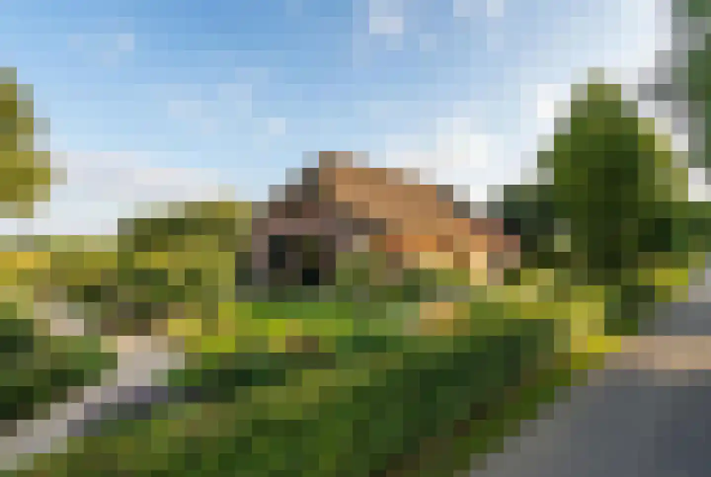 Elzenbosweg 19 Brummen thumbnail 4
