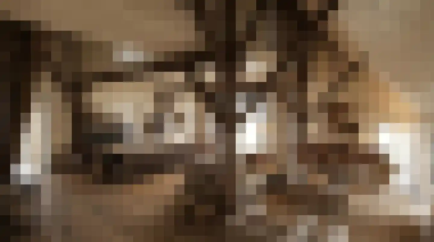 Elzenbosweg 19 Brummen thumbnail 5