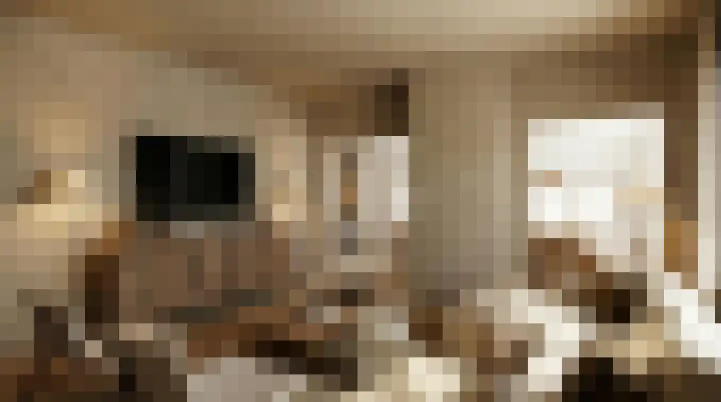 Elzenbosweg 19 Brummen thumbnail 6