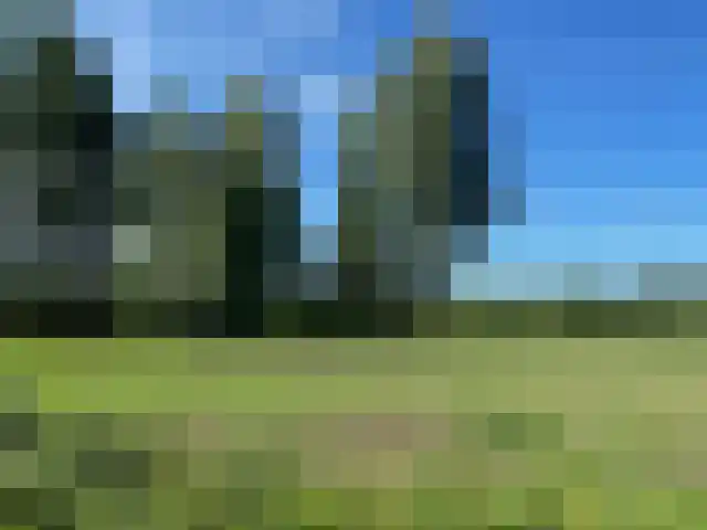 Elzenbosweg 19 Brummen thumbnail 7