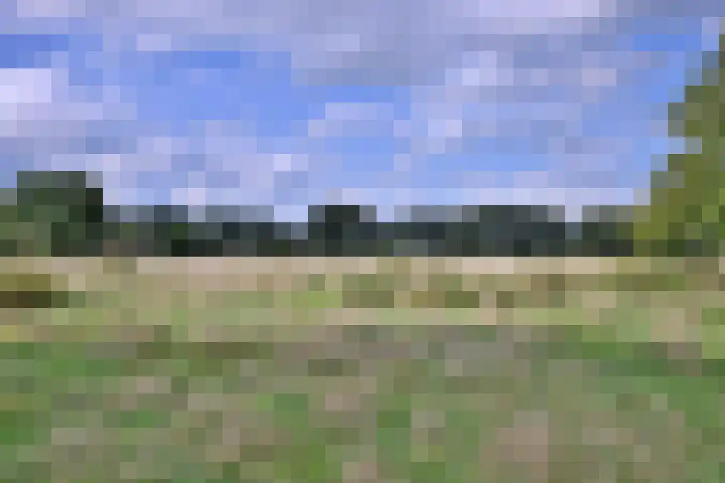 Elzenbosweg 19 Brummen thumbnail 8