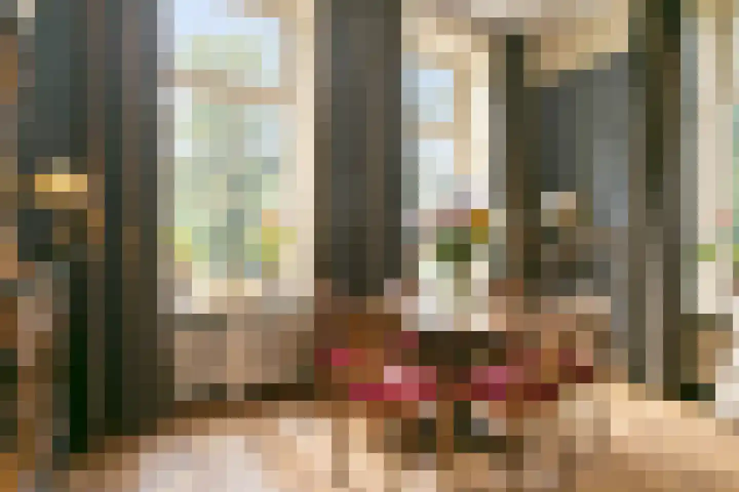 Elzenbosweg 20 Brummen thumbnail 10