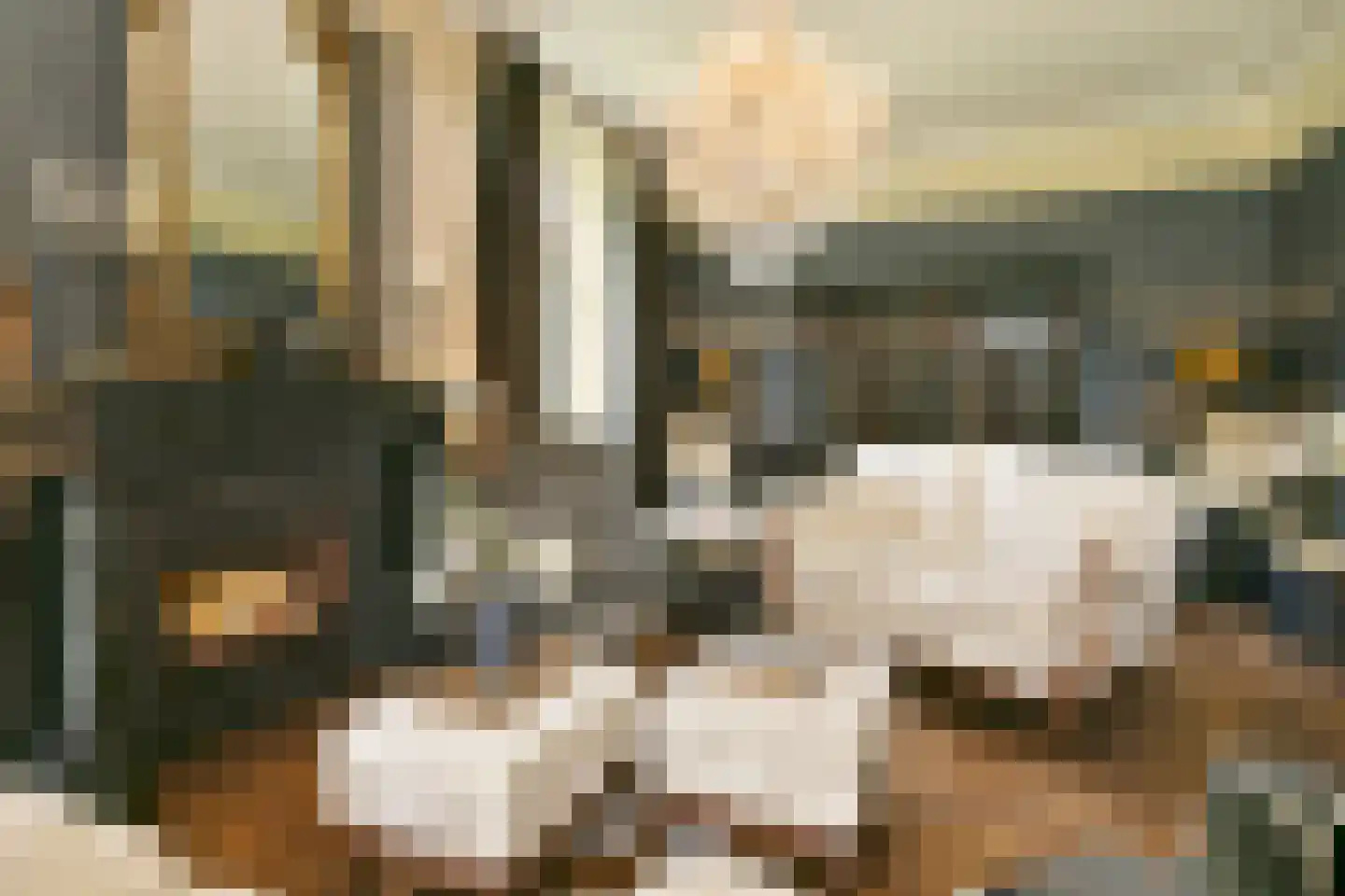Elzenbosweg 20 Brummen thumbnail 11