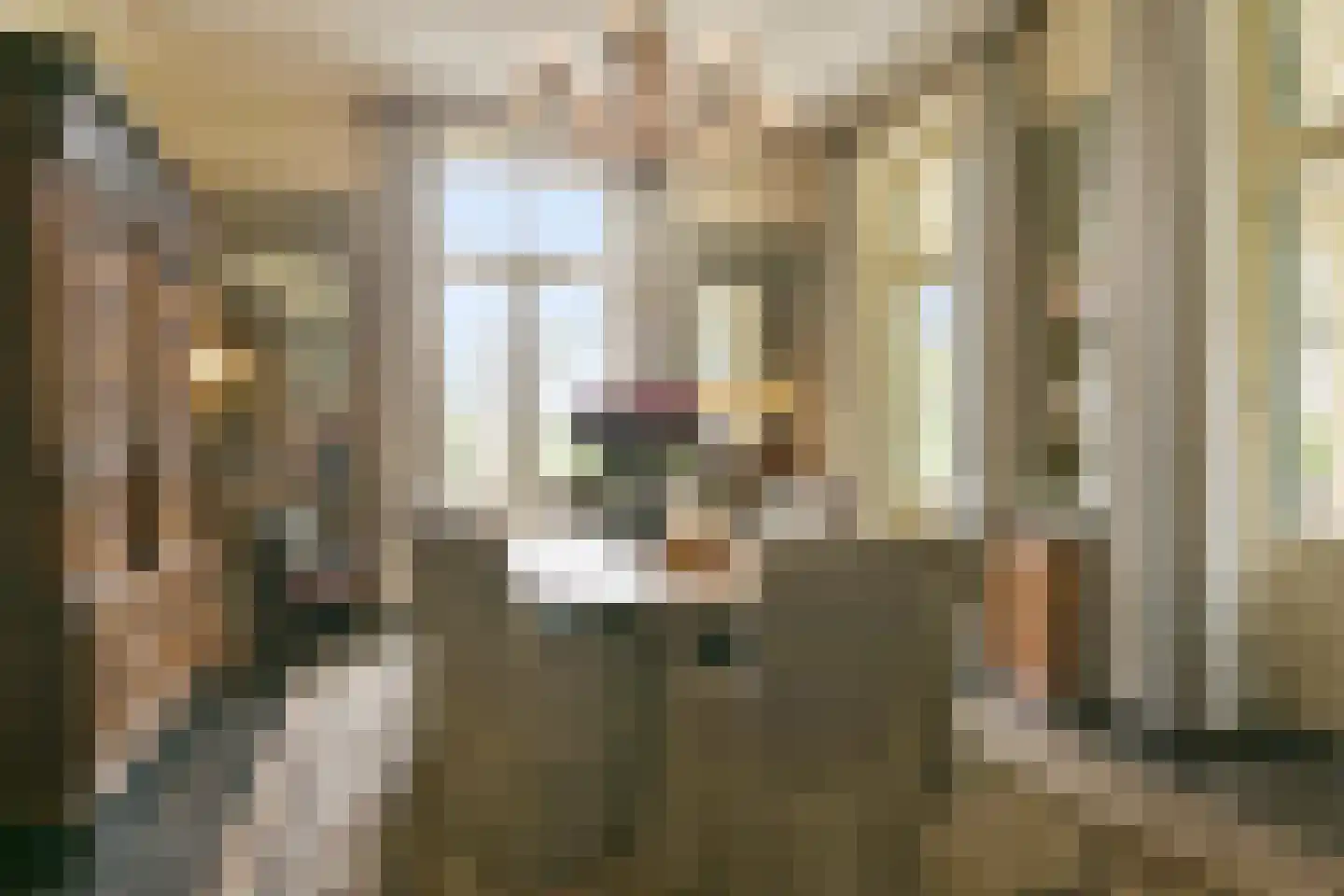 Elzenbosweg 20 Brummen thumbnail 13