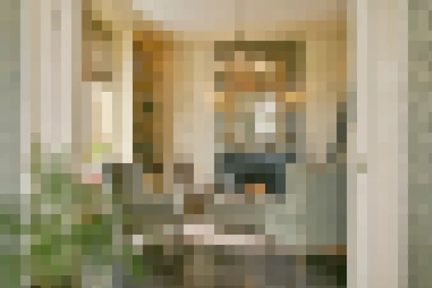Elzenbosweg 20 Brummen thumbnail 19