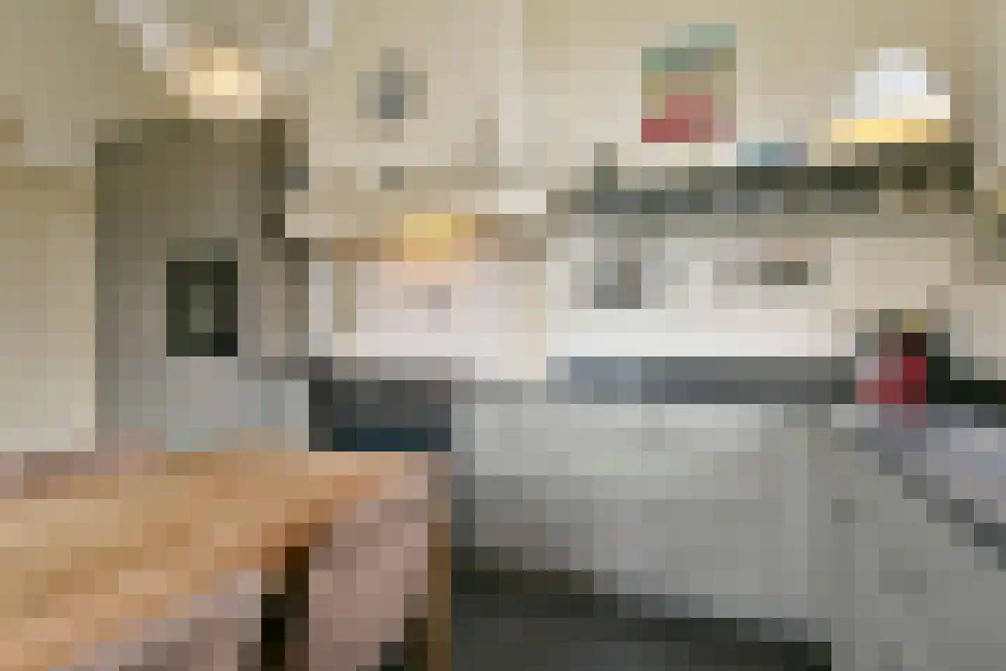 Elzenbosweg 20 Brummen thumbnail 22