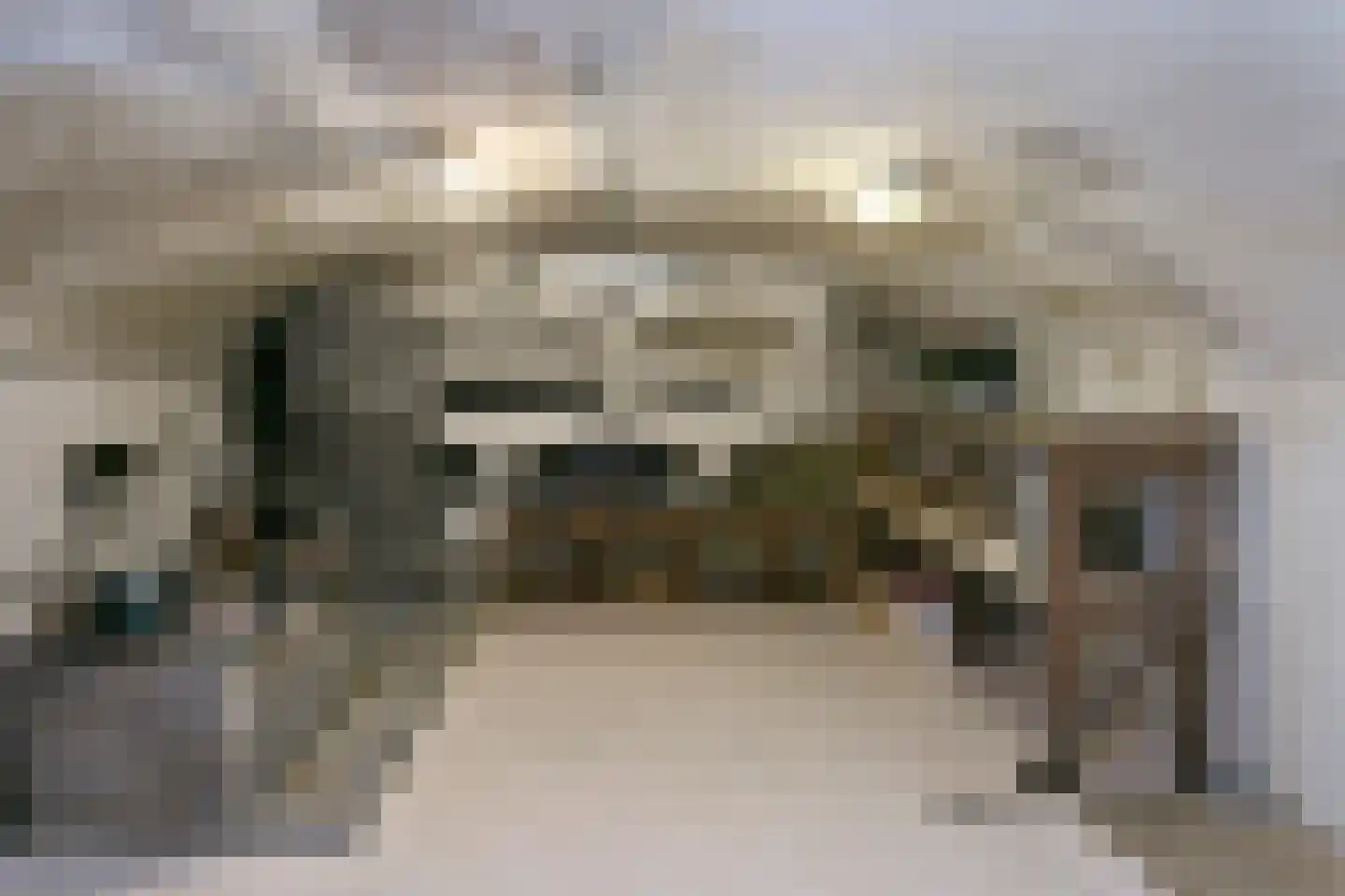 Elzenbosweg 20 Brummen thumbnail 24