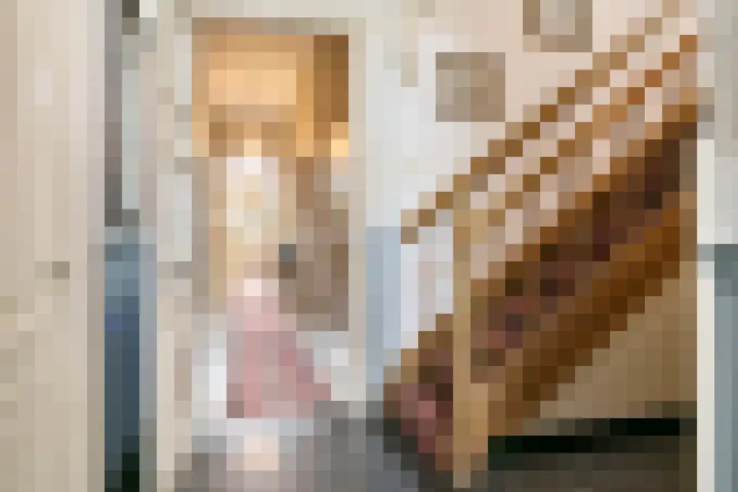 Elzenbosweg 20 Brummen thumbnail 25