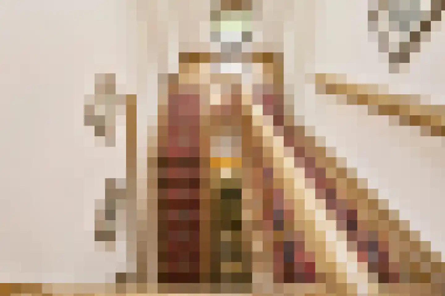 Elzenbosweg 20 Brummen thumbnail 26