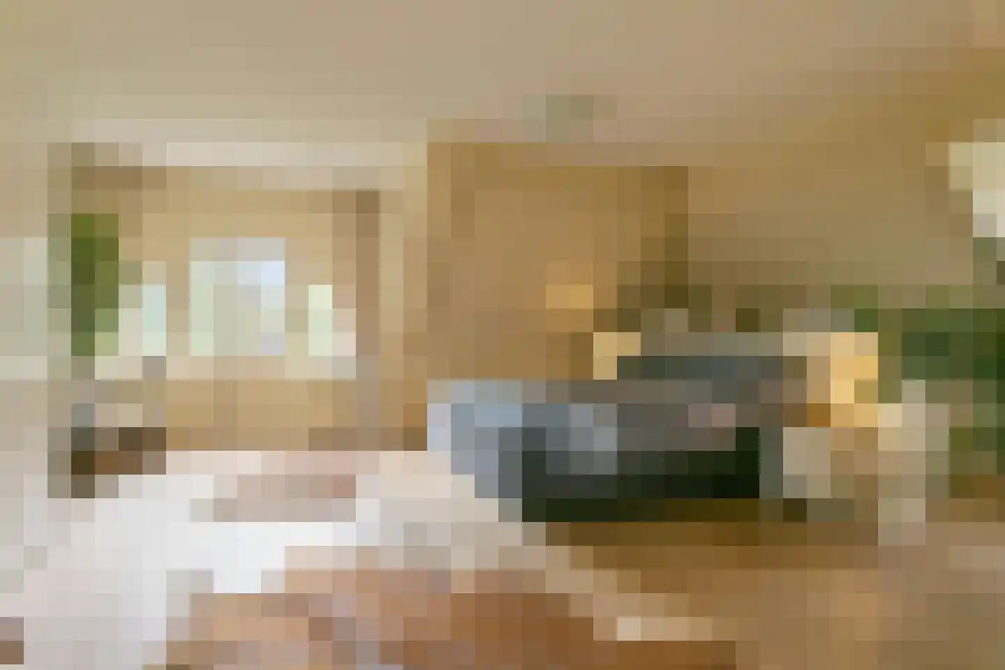 Elzenbosweg 20 Brummen thumbnail 28