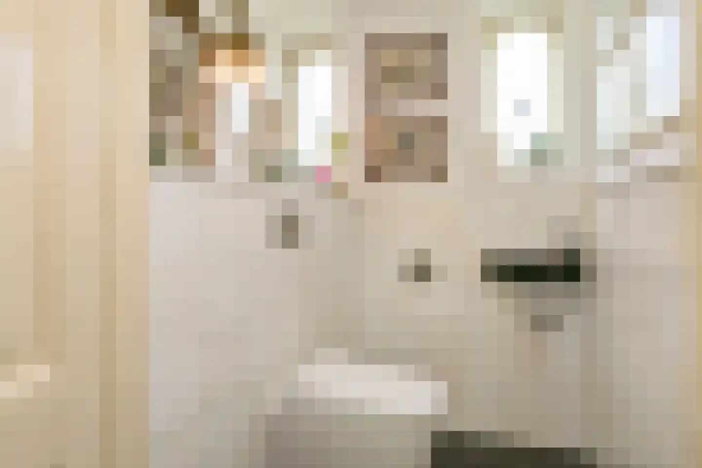 Elzenbosweg 20 Brummen thumbnail 38