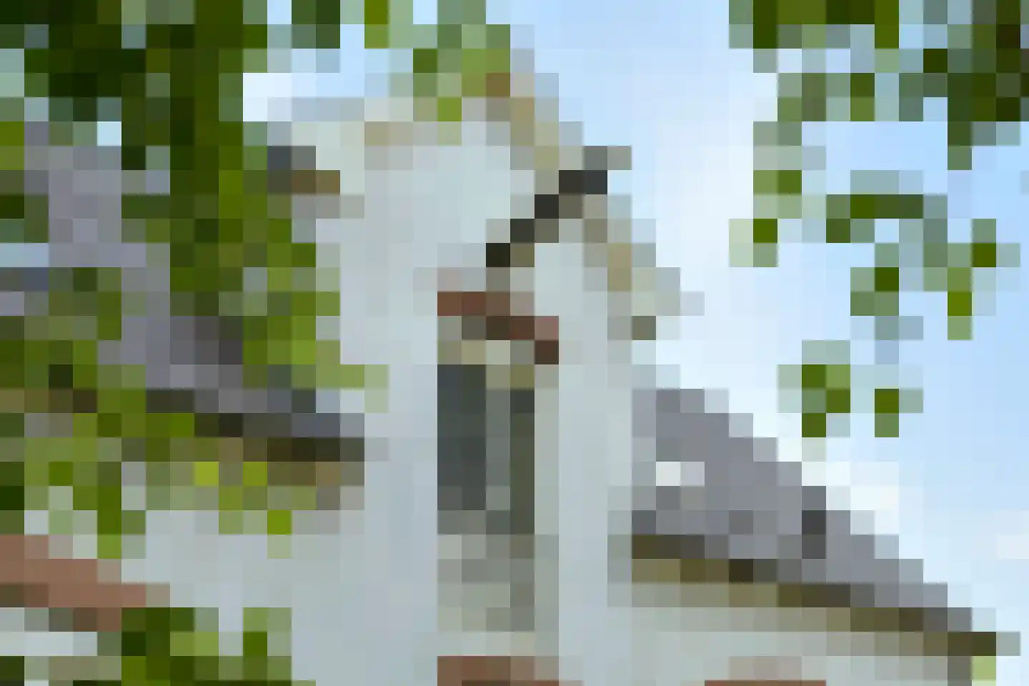 Elzenbosweg 20 Brummen thumbnail 41
