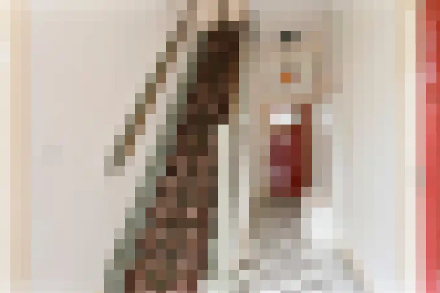 Elzenbosweg 20 Brummen thumbnail 42