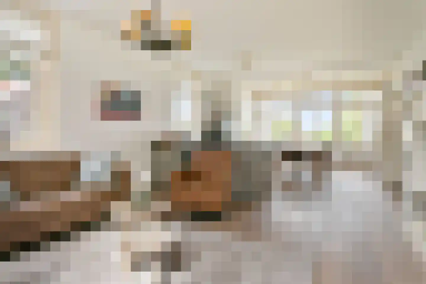 Elzenbosweg 20 Brummen thumbnail 43
