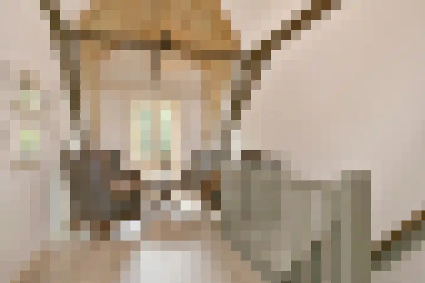 Elzenbosweg 20 Brummen thumbnail 48