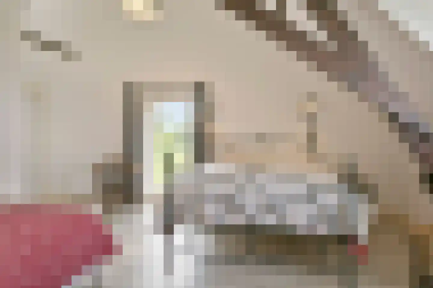 Elzenbosweg 20 Brummen thumbnail 50