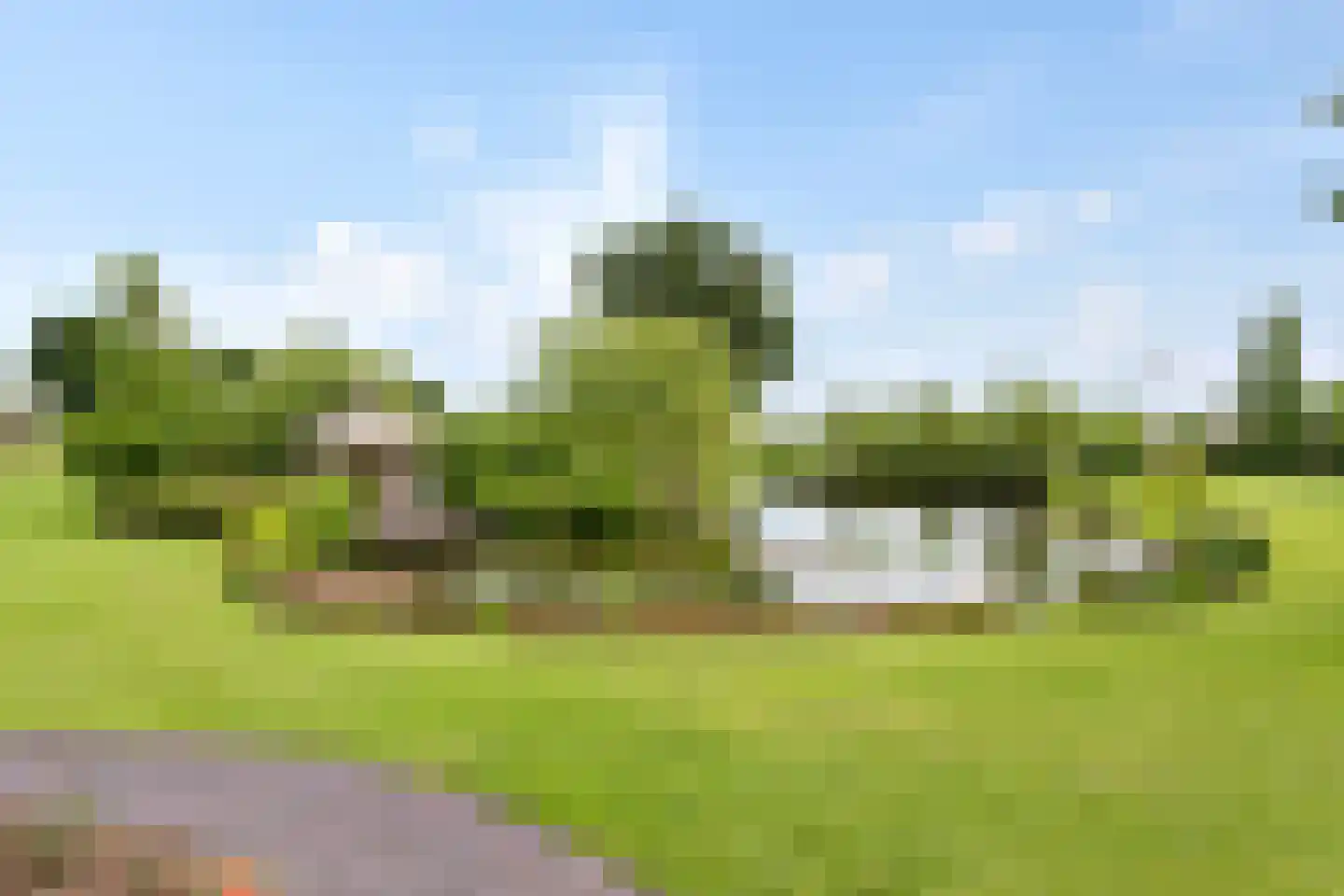 Elzenbosweg 20 Brummen thumbnail 55