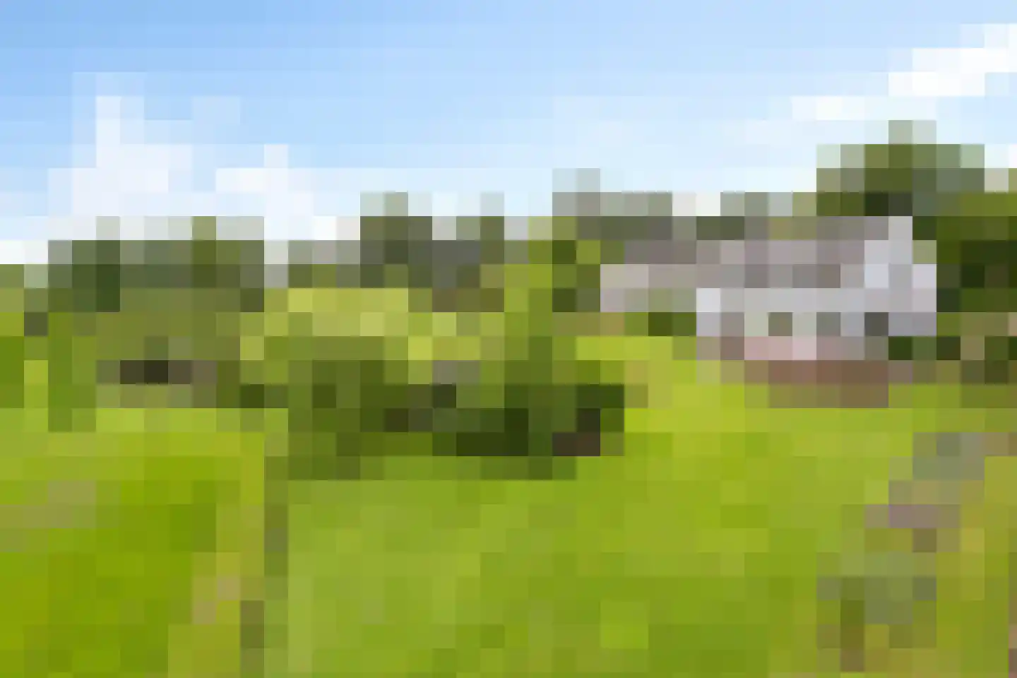 Elzenbosweg 20 Brummen thumbnail 59